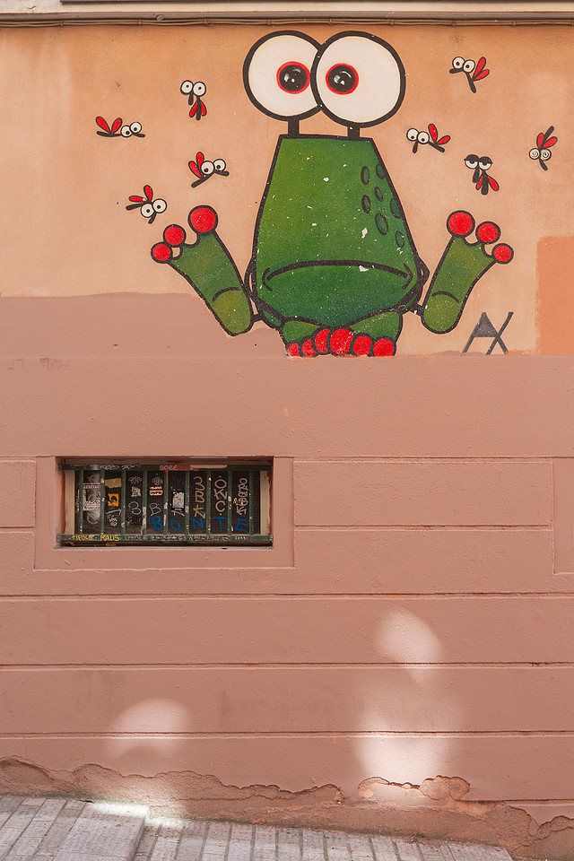 Urban Art Lyon Frosch