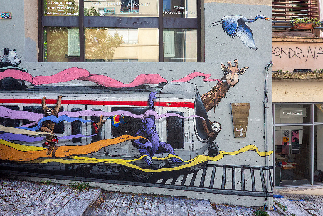 Lyon Urban Art Zug