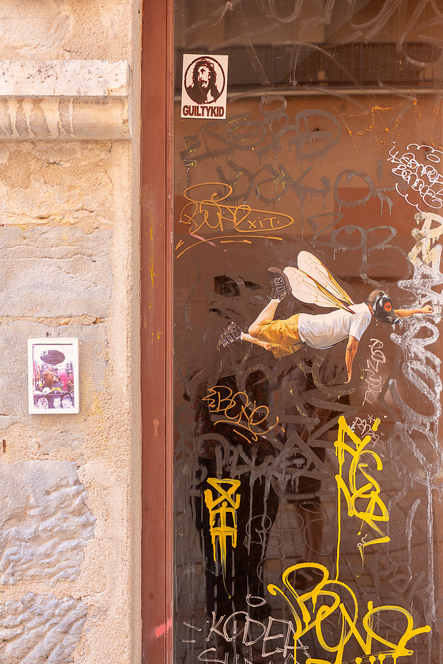 Lyon Urban Art Schwimmer