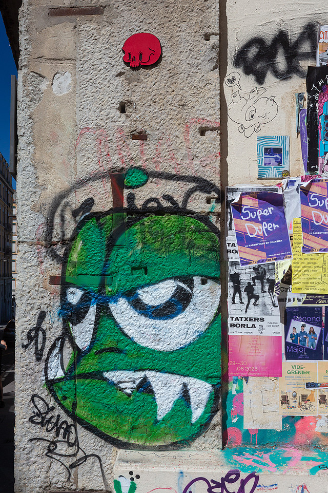Lyon Urban Art Monster